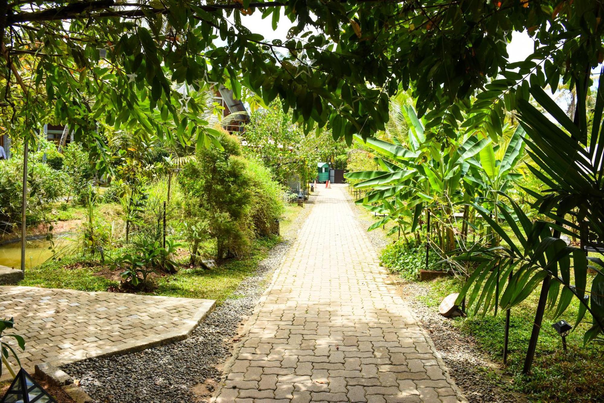 Steps Garden Resort Negombo Exterior photo